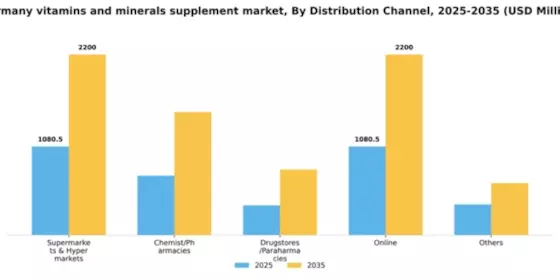 Germany Vitamins Minerals Supplement Market Segment Image 1