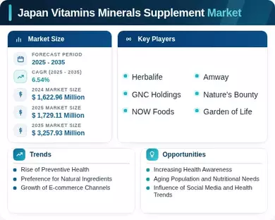 Japan Vitamins Minerals Supplement Market Infographic