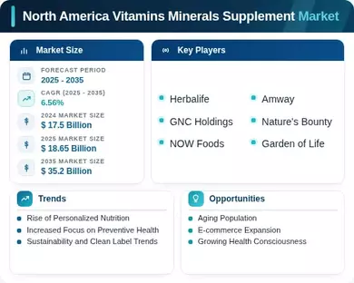 North America Vitamins Minerals Supplement Market Infographic