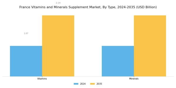 France Vitamins Minerals Supplement Market Segment Image 0