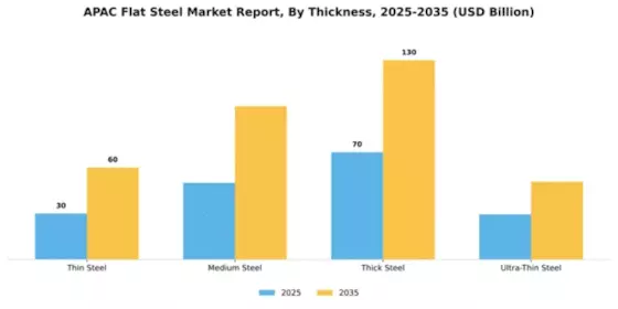 APAC Flat Steel Market Segment Image 4