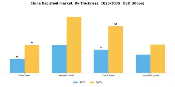 China Flat Steel Market Segment Image 4