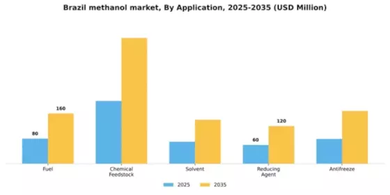 Brazil Methanol Market Segment Image 0