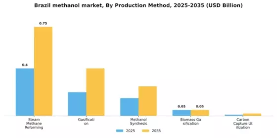 Brazil Methanol Market Segment Image 2