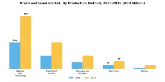 Brazil Methanol Market Segment Image 3
