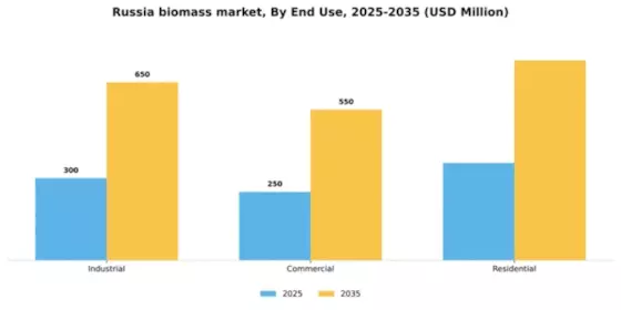 Russia Biomass Market Segment Image 0