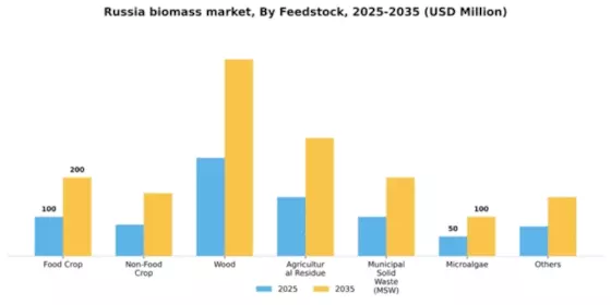 Russia Biomass Market Segment Image 1