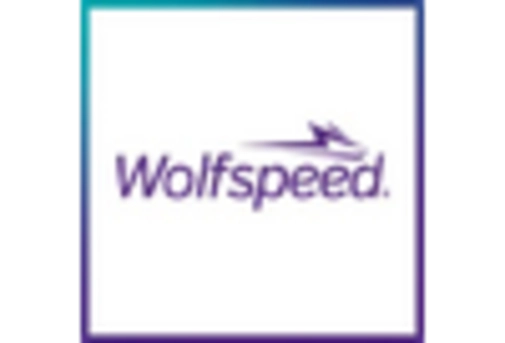 Germany Silicon Carbide Market key player