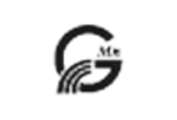 France Antimony Market key player