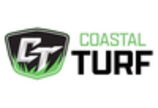 China Artificial Turf Market key player