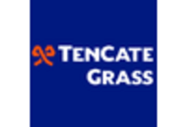 China Artificial Turf Market key player