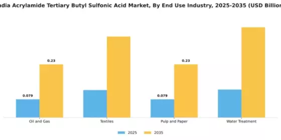 India Acrylamide Tertiary Butyl Sulfonic Acid Market Segment Image 3