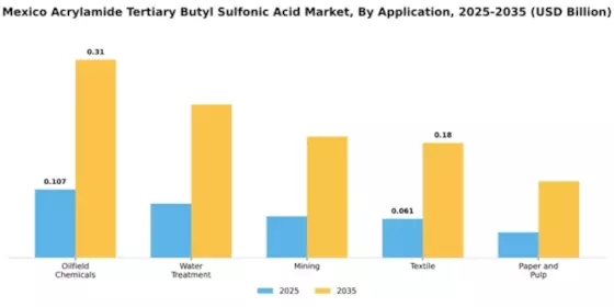 Mexico Acrylamide Tertiary Butyl Sulfonic Acid Market Segment Image 0