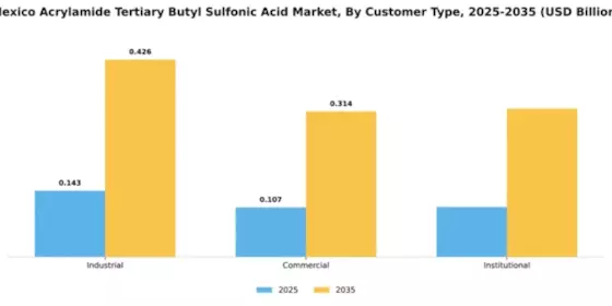 Mexico Acrylamide Tertiary Butyl Sulfonic Acid Market Segment Image 1