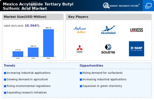 Mexico Acrylamide Tertiary Butyl Sulfonic Acid Market Infographic