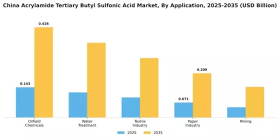 China Acrylamide Tertiary Butyl Sulfonic Acid Market Segment Image 0