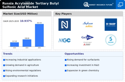 Russia Acrylamide Tertiary Butyl Sulfonic Acid Market Infographic
