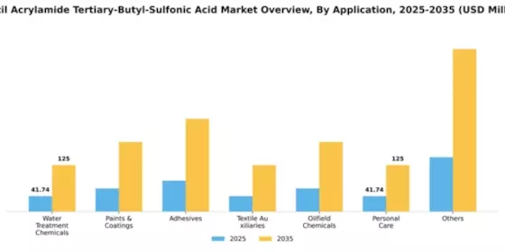 Brazil Acrylamide Tertiary Butyl Sulfonic Acid Market Segment Image 0