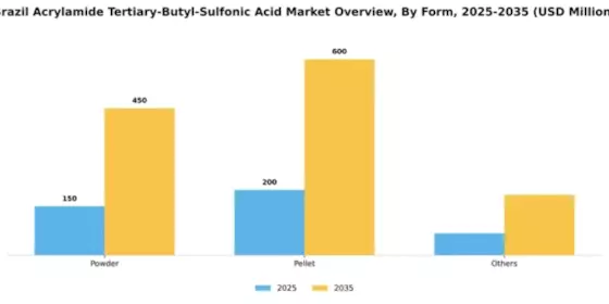 Brazil Acrylamide Tertiary Butyl Sulfonic Acid Market Segment Image 1