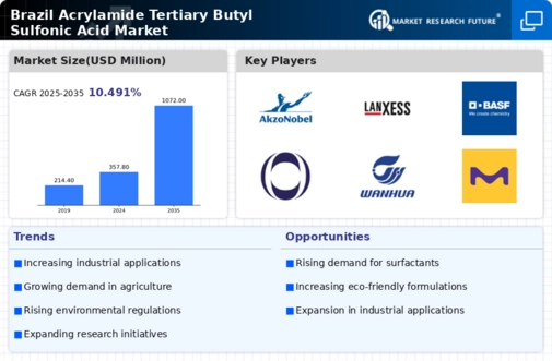 Brazil Acrylamide Tertiary Butyl Sulfonic Acid Market Infographic