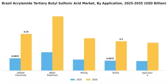Brazil Acrylamide Tertiary Butyl Sulfonic Acid Market Segment Image 0