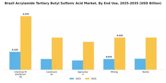 Brazil Acrylamide Tertiary Butyl Sulfonic Acid Market Segment Image 3