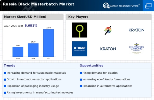 Russia Black Masterbatch Market Infographic