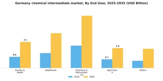 Germany Chemical Intermediate Market Segment Image 0