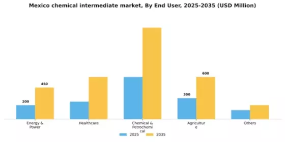 Mexico Chemical Intermediate Market Segment Image 0