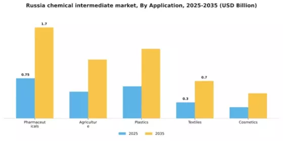 Russia Chemical Intermediate Market Segment Image 0