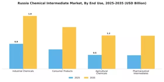 Russia Chemical Intermediate Market Segment Image 1