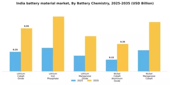 India Battery Material Market Segment Image 1