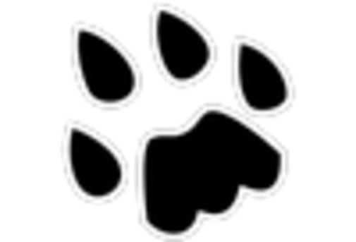 APAC Battery Material Market key player