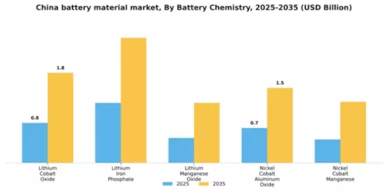 China Battery Material Market Segment Image 1