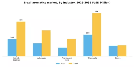 Brazil Aromatics Market Segment Image 1