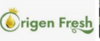 Avocado Oil Market key player