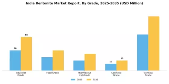 India Bentonite Market Segment Image 3