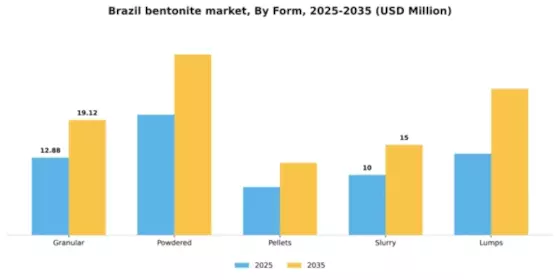 Brazil Bentonite Market Segment Image 2