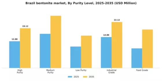 Brazil Bentonite Market Segment Image 4