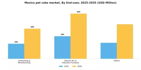 Mexico Pet Coke Market Segment Image 0