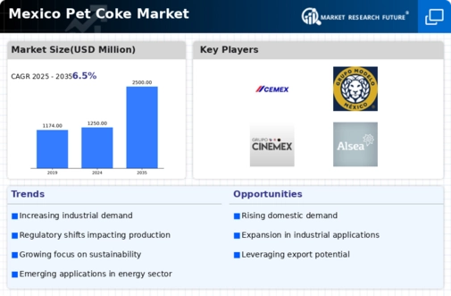 Mexico Pet Coke Market Infographic