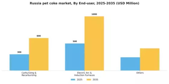 Russia Pet Coke Market Segment Image 0