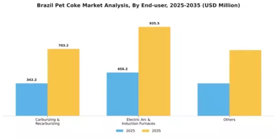 Brazil Pet Coke Market Segment Image 0
