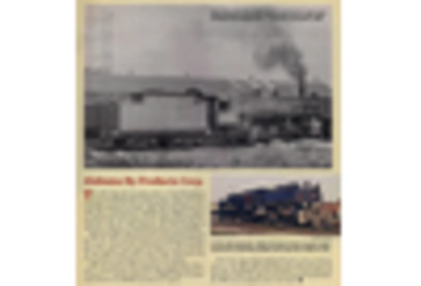 Brazil Pet Coke Market key player