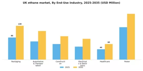 UK Ethane Market Segment Image 1