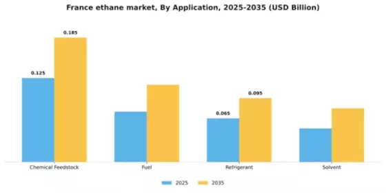 France Ethane Market Segment Image 0