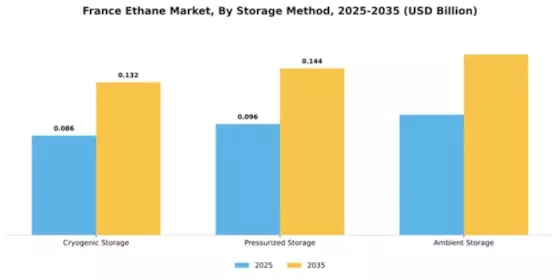 France Ethane Market Segment Image 4