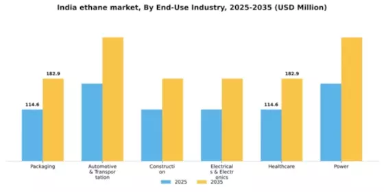 India Ethane Market Segment Image 1