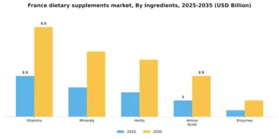 France Dietary Supplements Market Segment Image 3