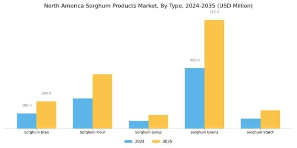 North America Sorghum Products Market Segment Image 1
